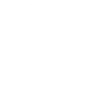 Schornsteinfeger