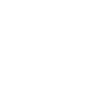 Website durchsuchen